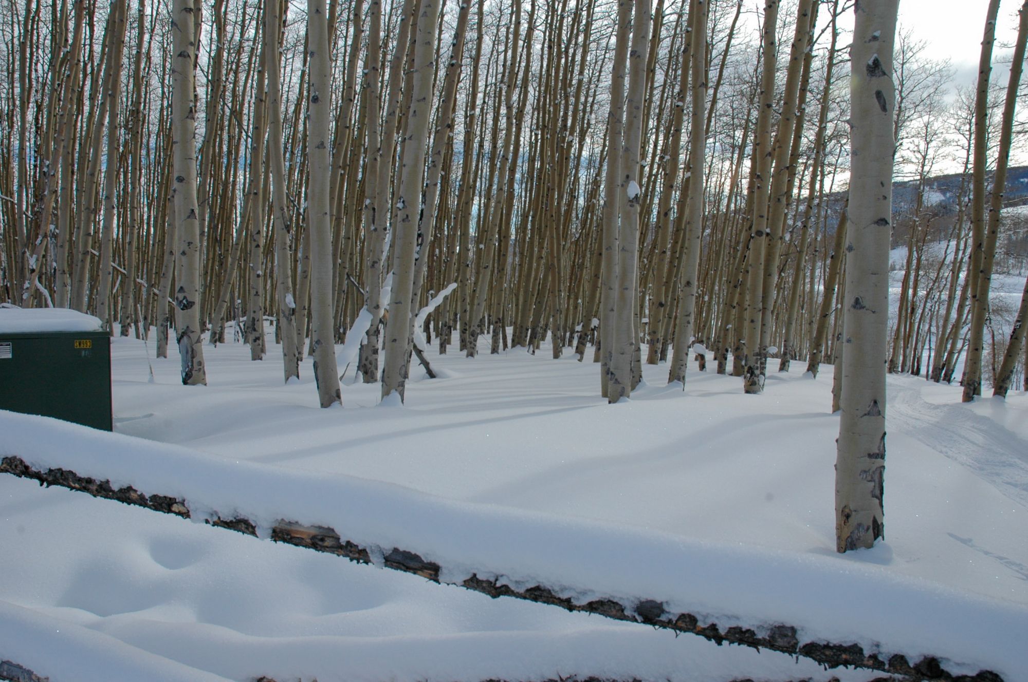2009 Beaer Creek